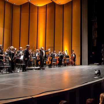Chicago Philharmonic Orchestra: Ryan Speedo Green
