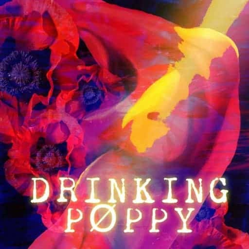 Drinking Poppy