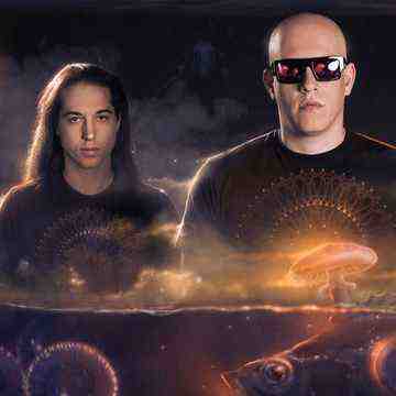 Infected Mushroom