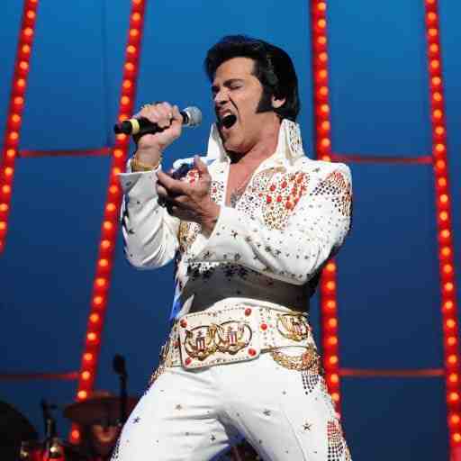 The King In Concert - Elvis Presley Tribute